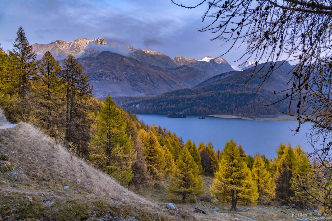 Silsersee view