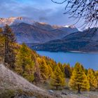 Silsersee view