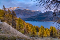 Silsersee view