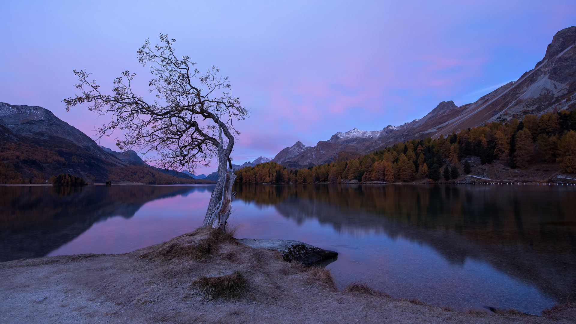 Silsersee zur blauen Stunde