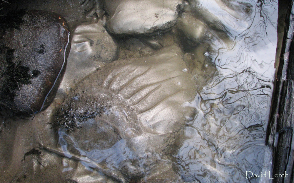 silt formations