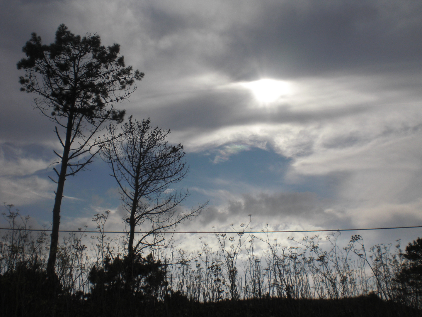 Silueta y cielo