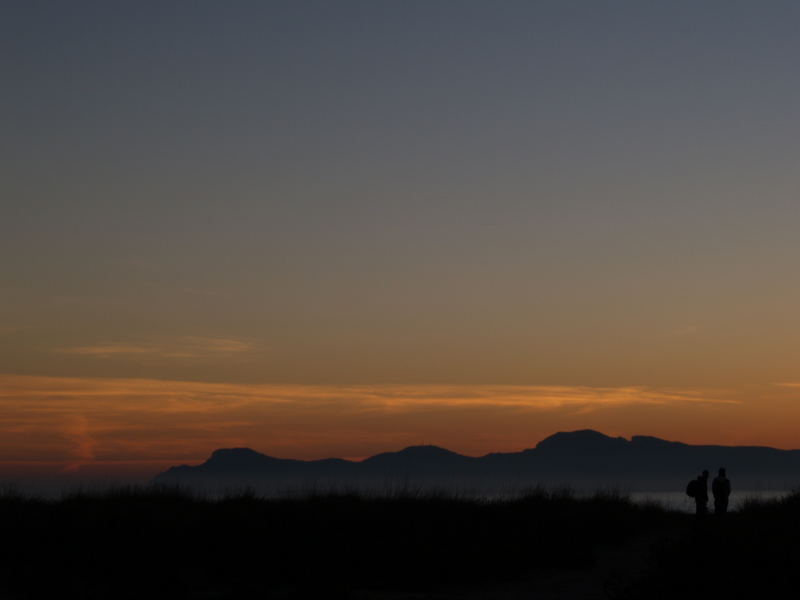 Siluetas al amanecer