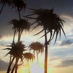 SILUETAS AL ATARDECER...FERNANDO LÓPEZ   fOTOGRAFÍAS...