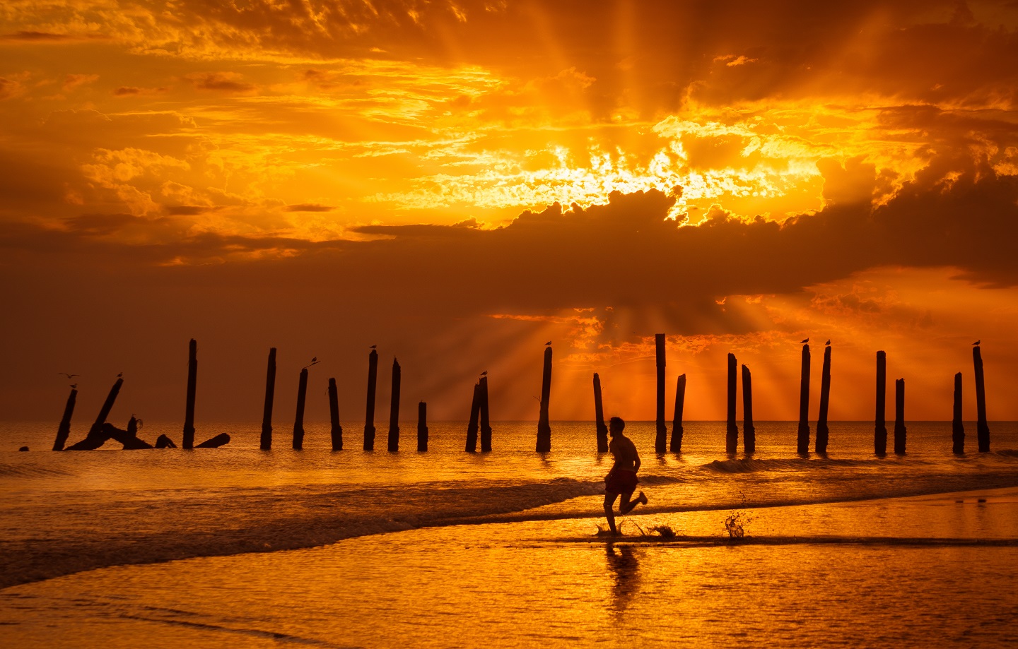 Siluetas bajo el sol