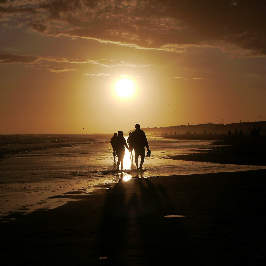 SILUETAS EN EL OCASO