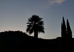 Siluetas  en Montecatini Terma 