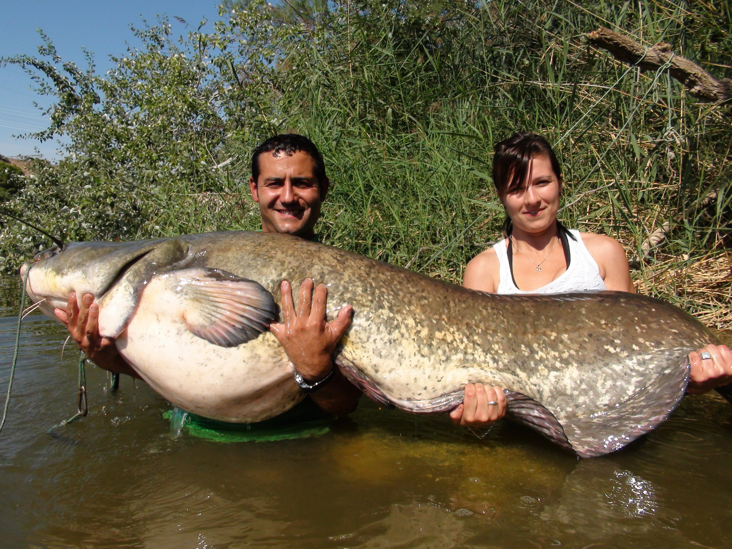 SILURO EN PAREJA