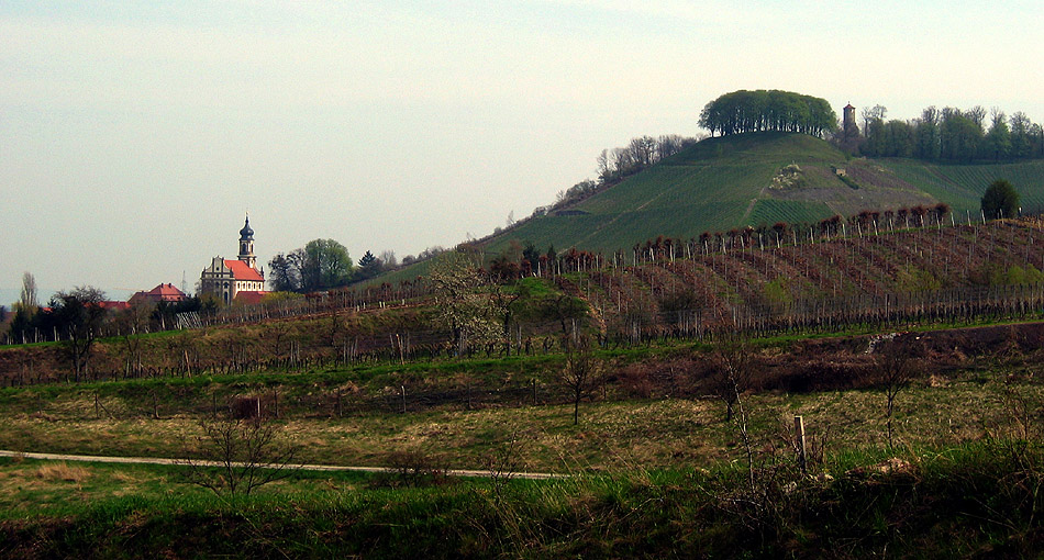 Silvaner?