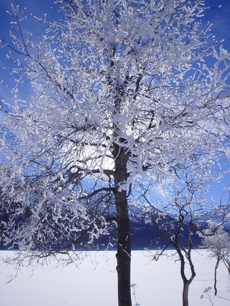 Silvaplana, St Moritz