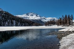 Silvaplanersee