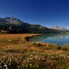 Silvaplanersee Engadin Bündnerland