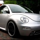 Silver Beetle