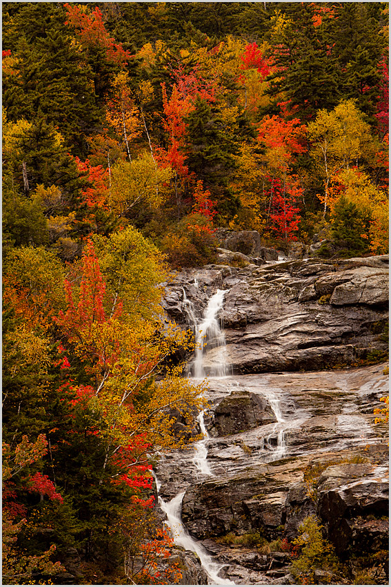 Silver Cascades