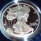 Silver Eagle