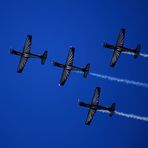 Silver Falcons