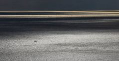 Silver & Gold (versione wide)
