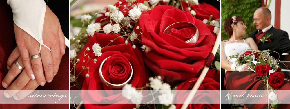 silver rings & red roses