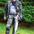 silver salmon