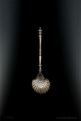 " Silver Spoon "