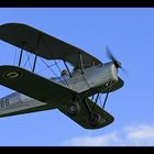 Silver Stampe