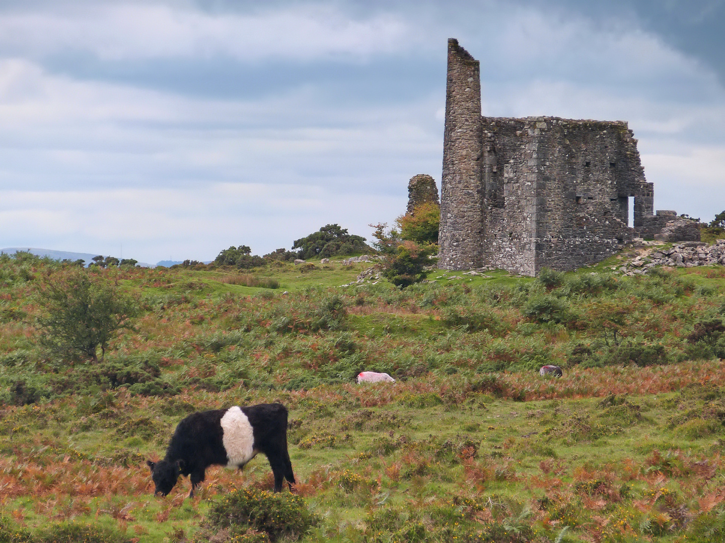 Silver Valley Mine at Bodmin Moor