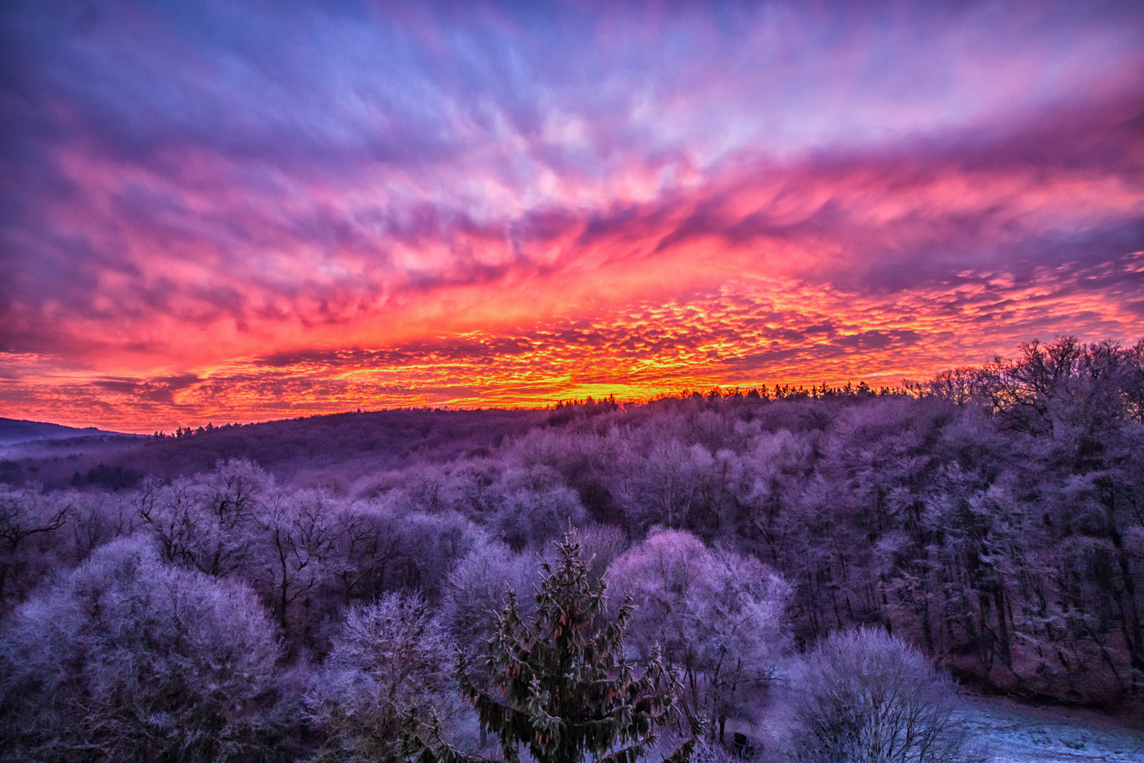 Silversterfeuerwerk by Nature