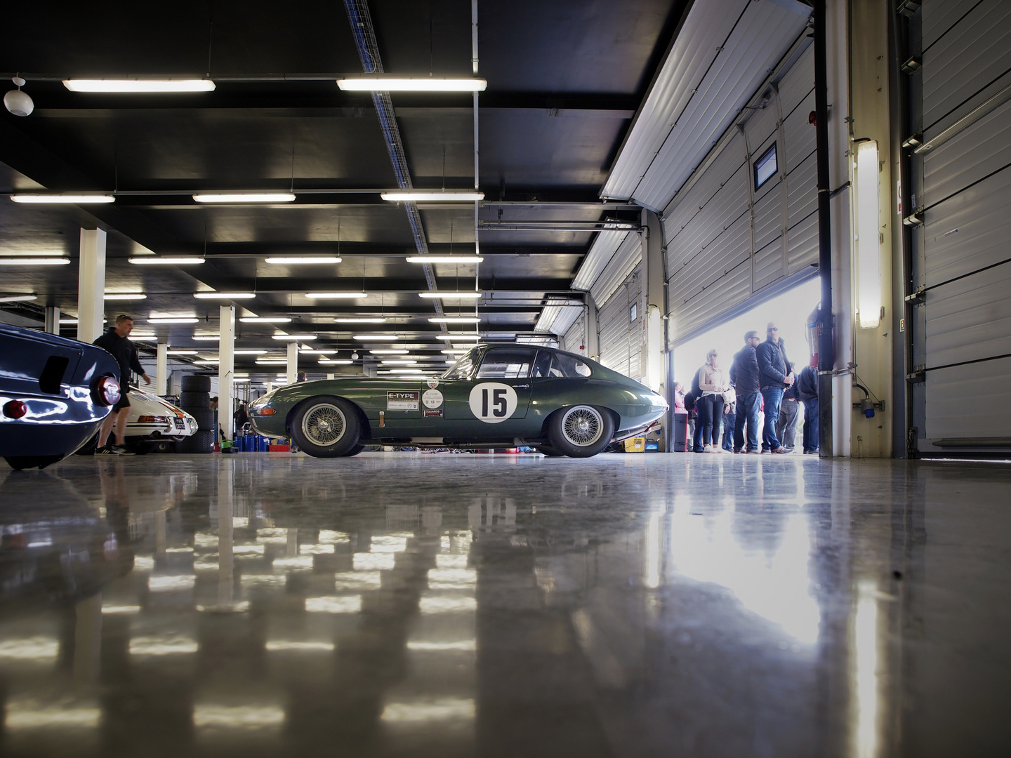 Silverstone Classics 2015 - E Type