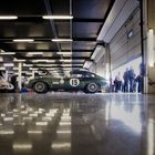 Silverstone Classics 2015 - E Type