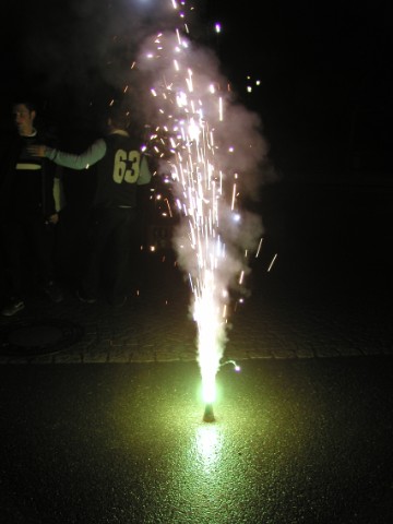 Silvester 2002