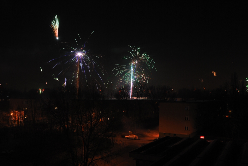 Silvester 2008 2