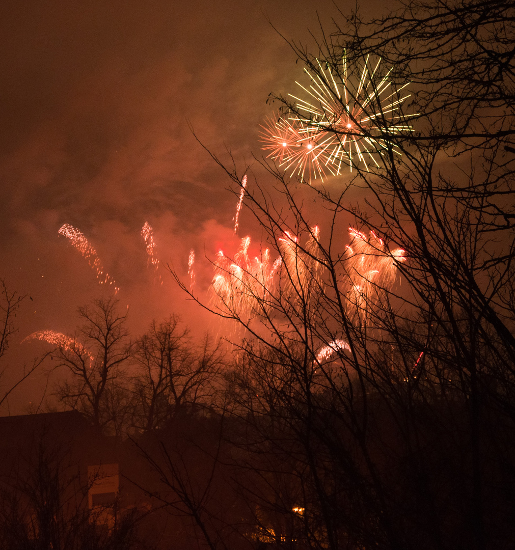 Silvester 2010-2011