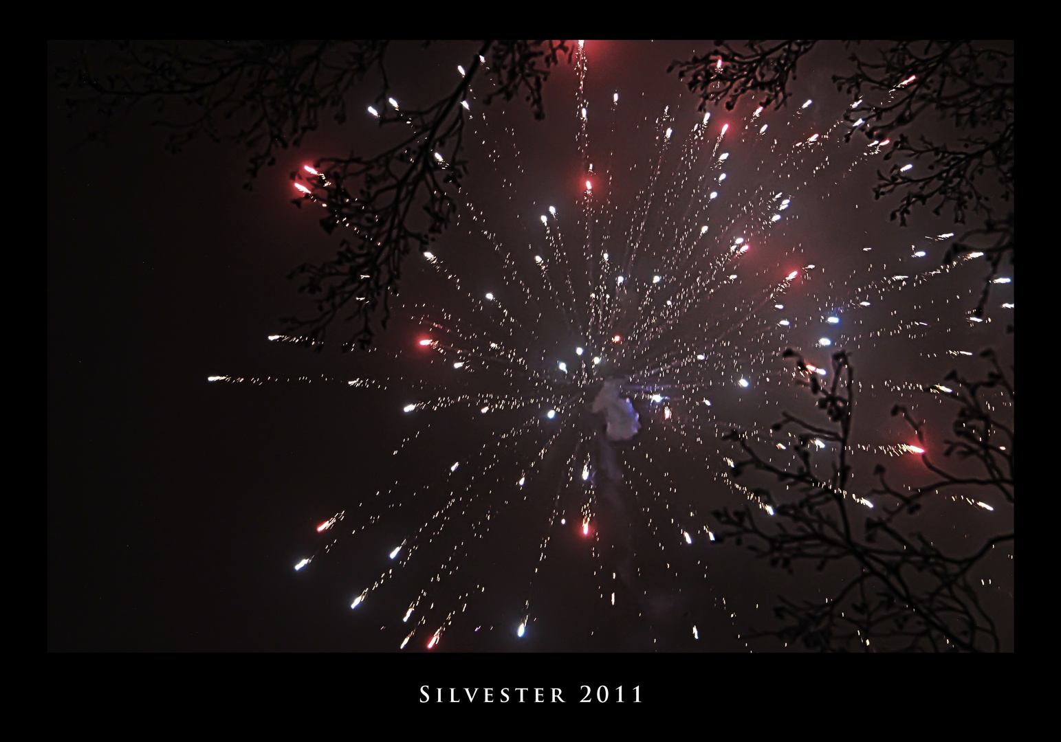 Silvester 2011