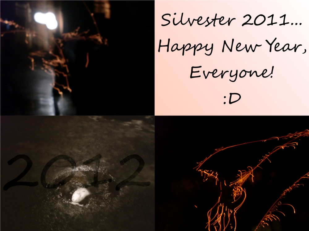 ~Silvester 2011~