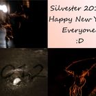 ~Silvester 2011~