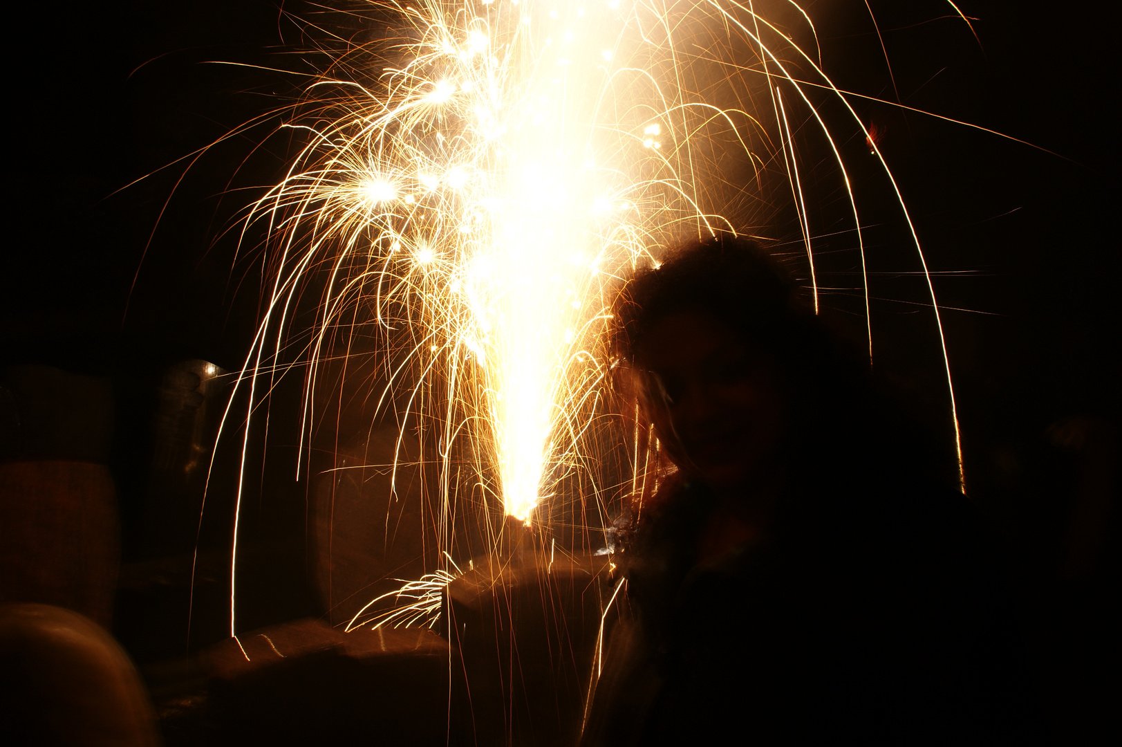 Silvester 2011 II