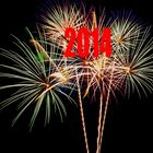 Silvester 2014