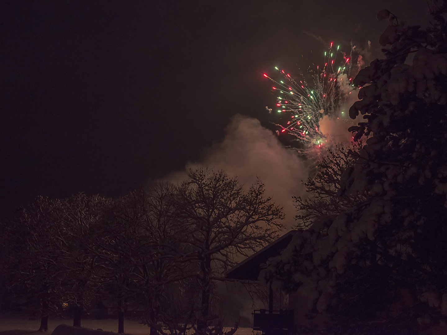 Silvester 2015