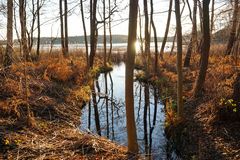 Silvester am See