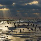 Silvester am Strand