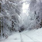 Silvester auf dem Rothaarsteig