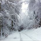 Silvester auf dem Rothaarsteig