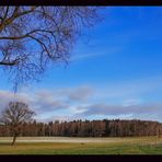 silvester auf den feld