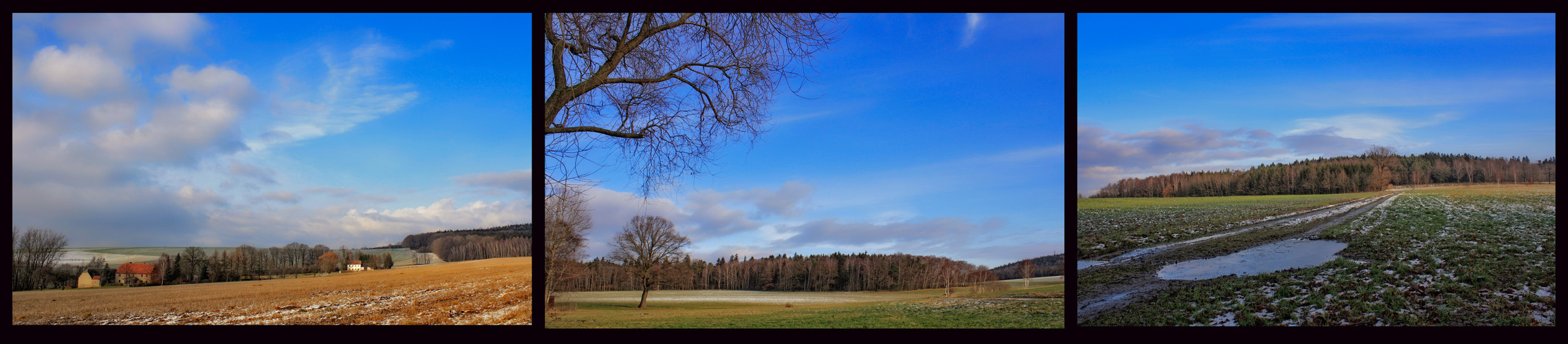 silvester auf den feld