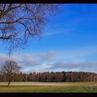 silvester auf den feld