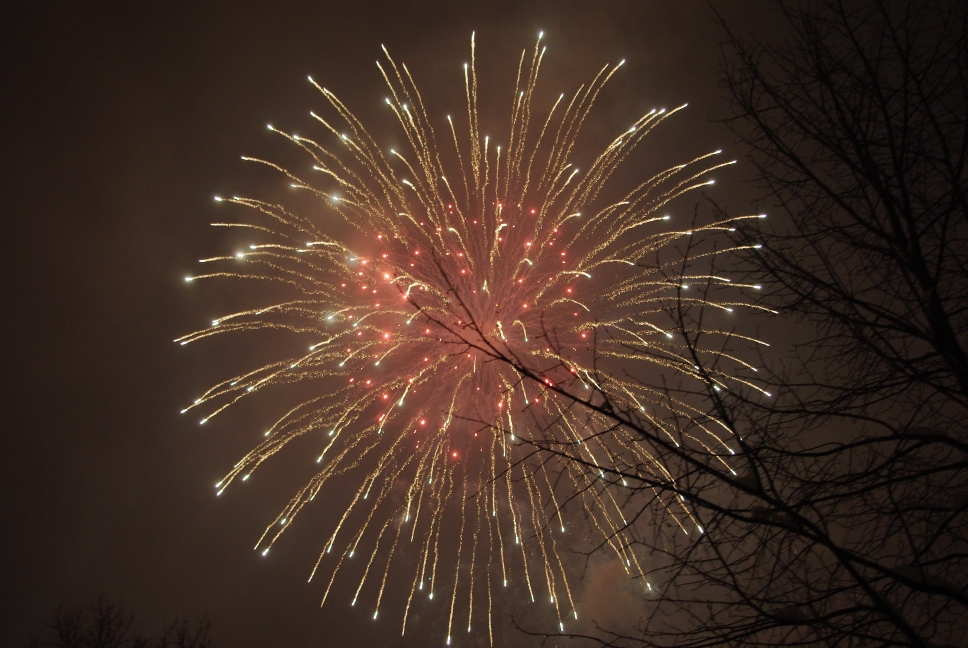 Silvester-Feuerwerk in Berlin 09/10