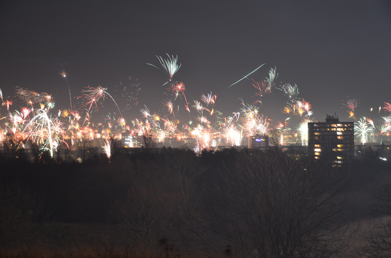 Silvester in Mannheim und Ludwigshafen a. Rhein (2012/2013)