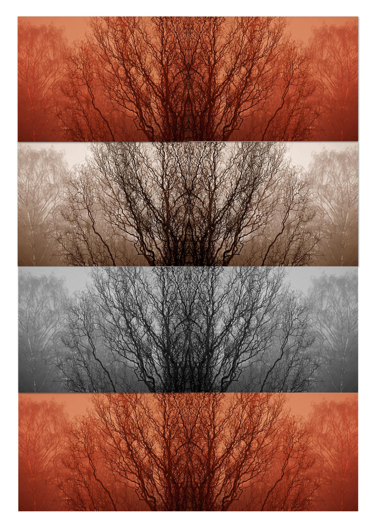 Silvester-Nebel-Traum-Baum