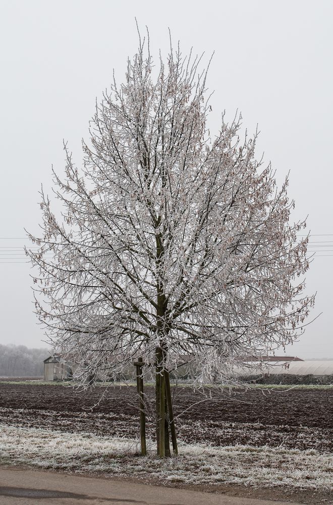 Silvester-Spaziergang 1