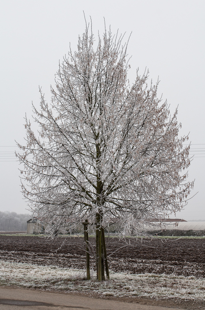 Silvester-Spaziergang 1